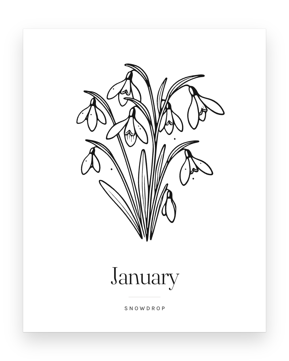 The January print: a line-drawn snowdrop above the word January and the caption Snowdrop.