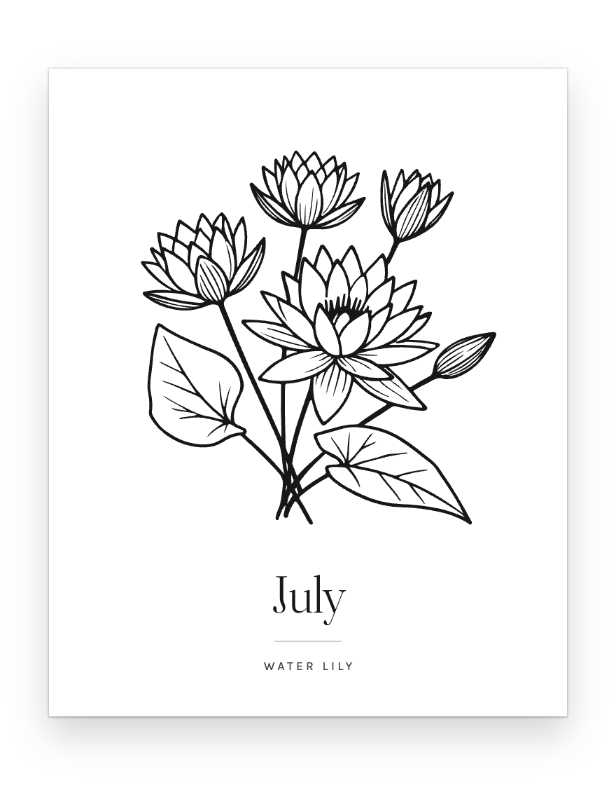 The July print — water lily