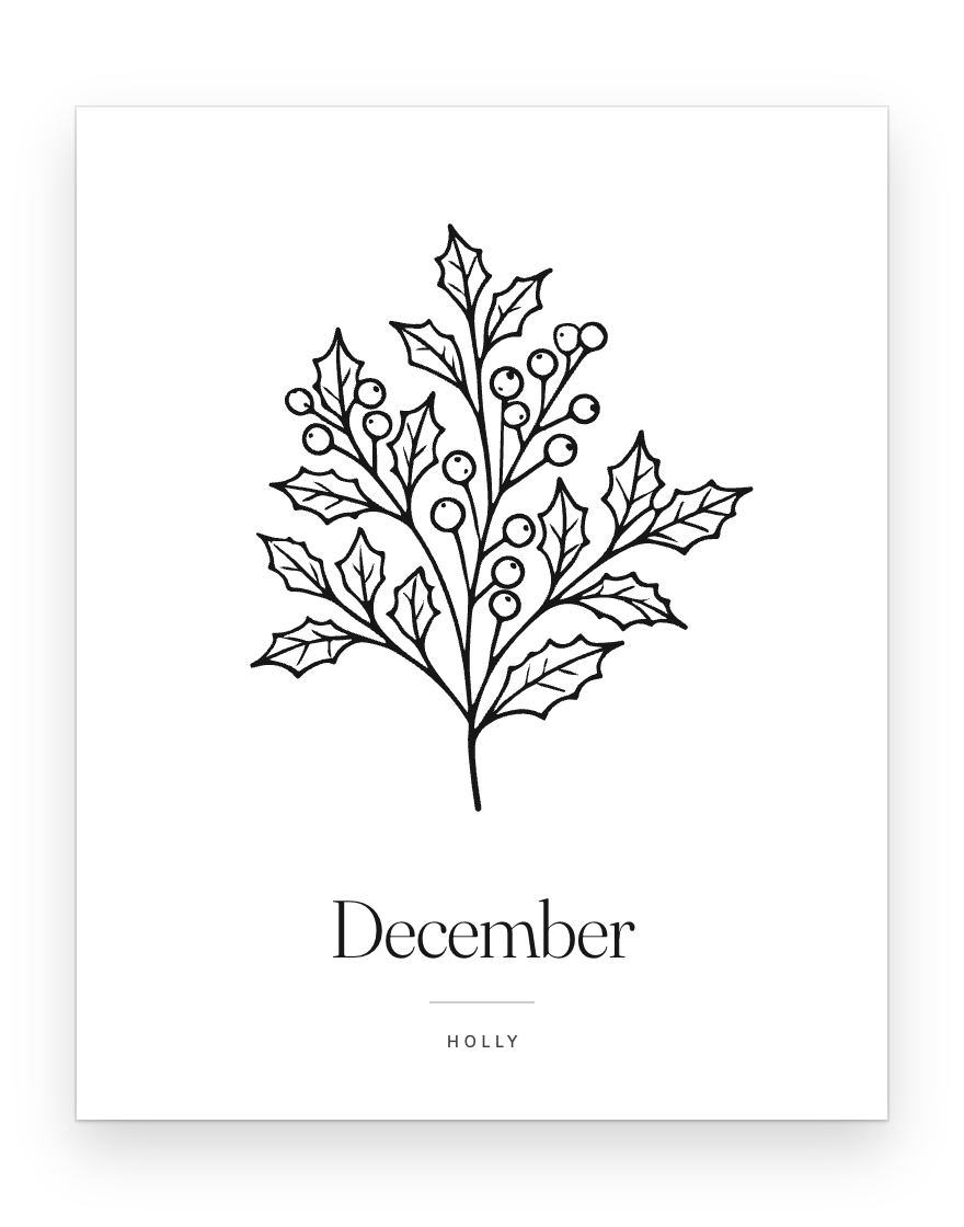 The December print — holly